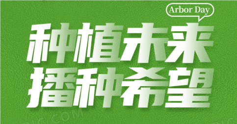 甘露子种植指导手册