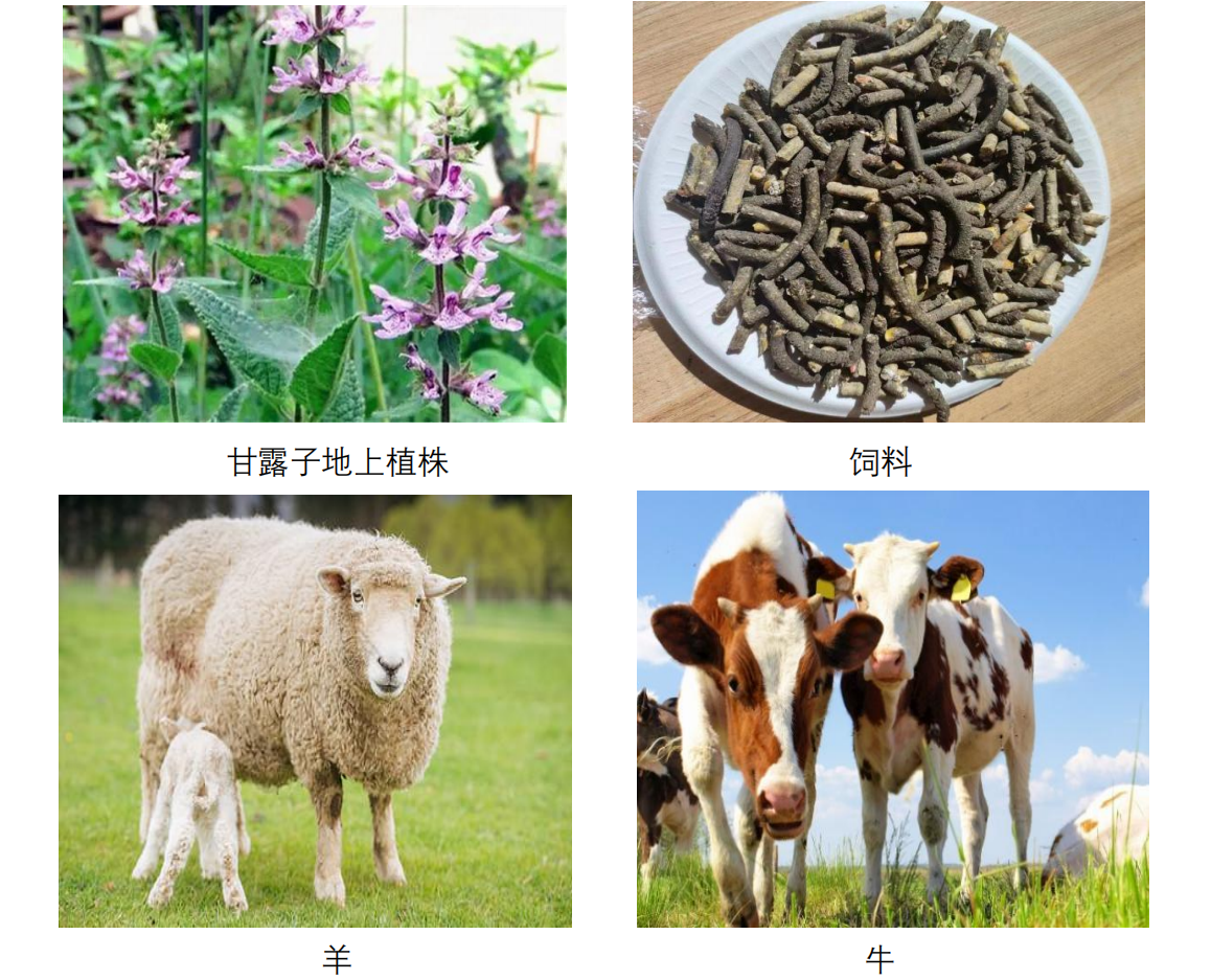 副产物再利用