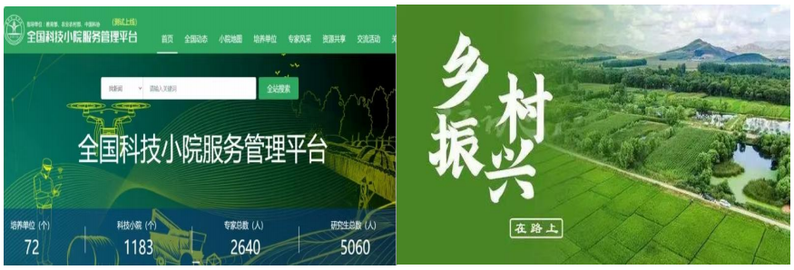 甘露子内容_05.png