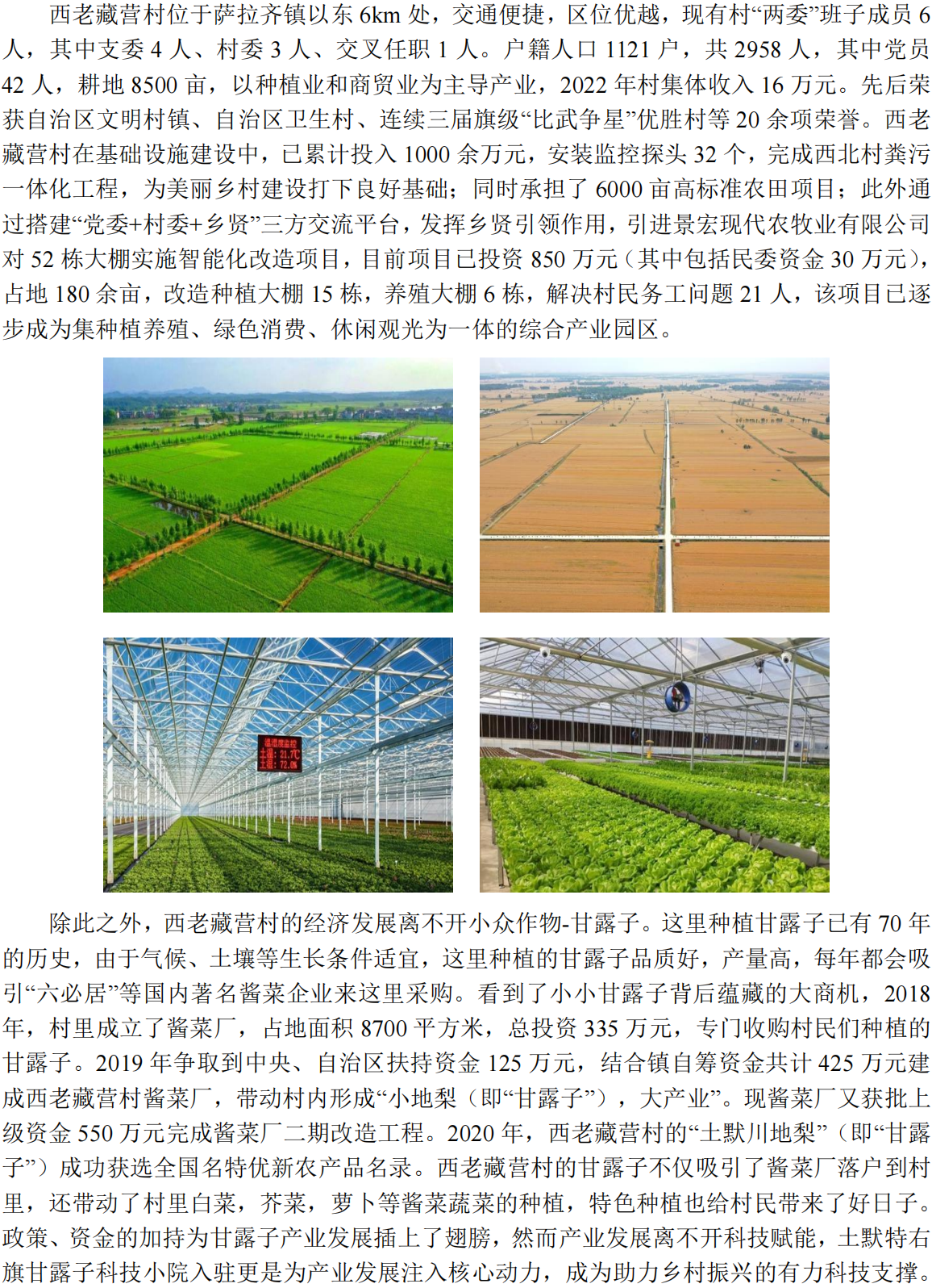 甘露子内容_09.png