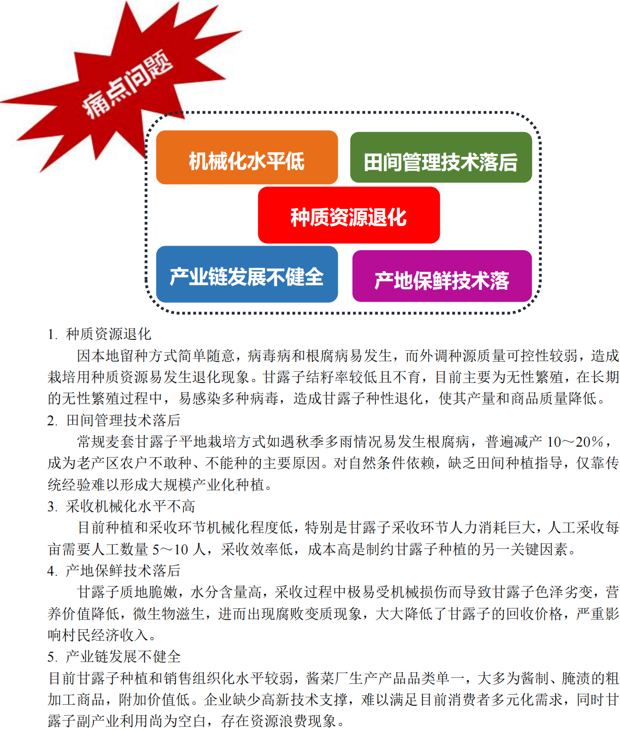 甘露子内容_12.png