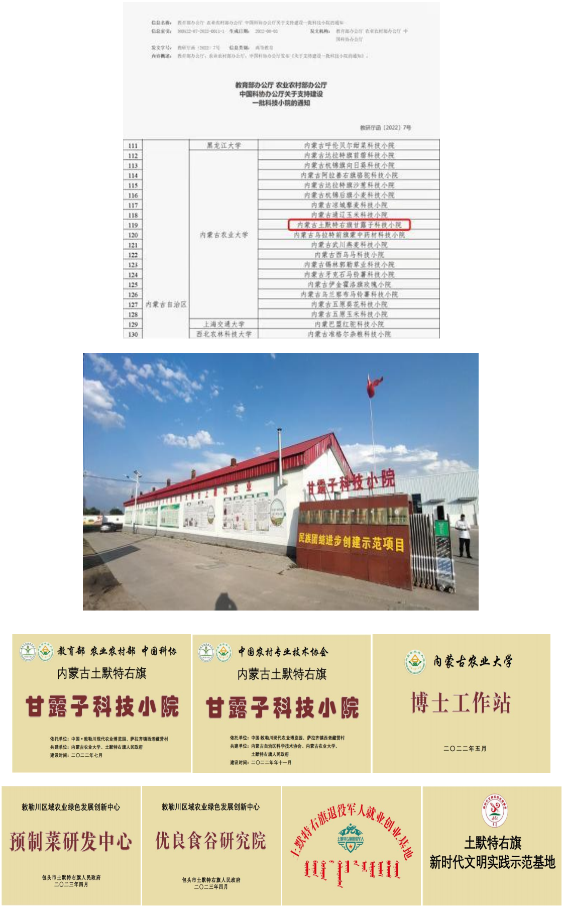 甘露子内容_15.png