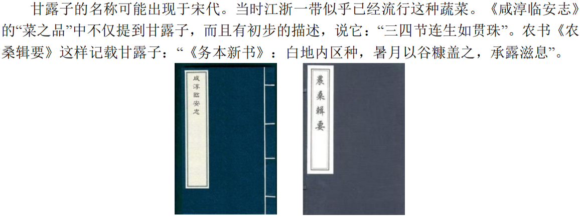甘露子内容_22.png