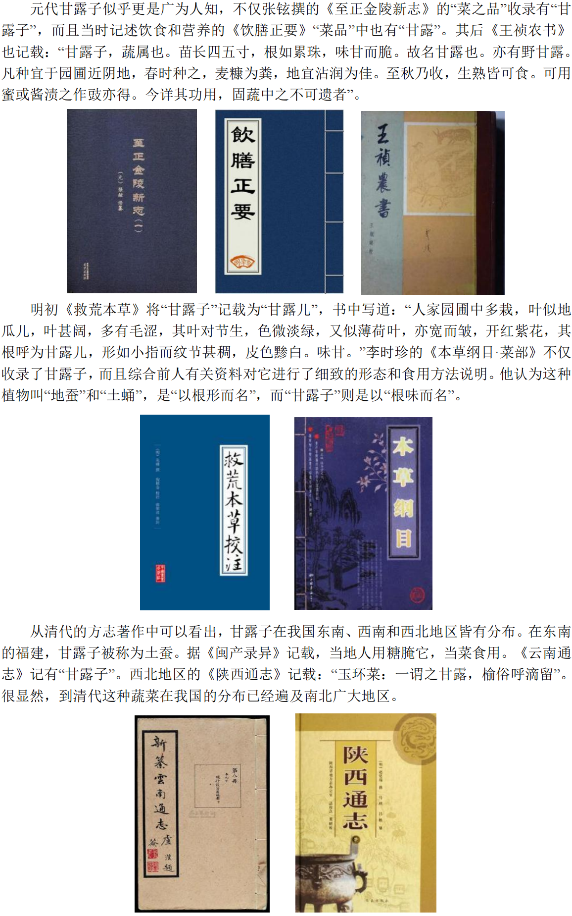 甘露子内容_24.png