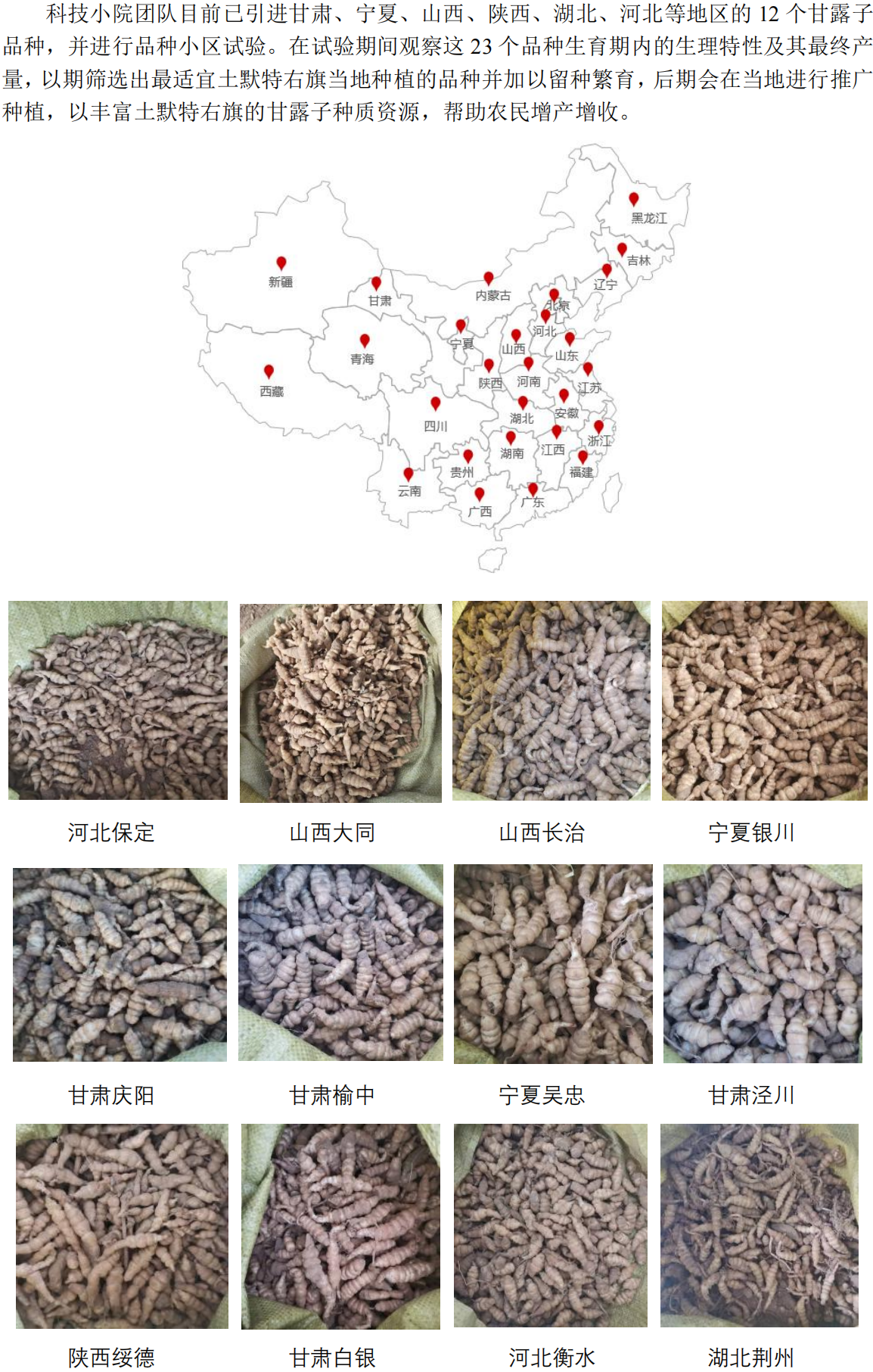 甘露子科技小院科普内容(1)_00.png