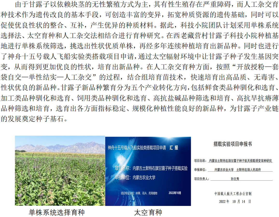 甘露子科技小院科普内容(1)_03.png
