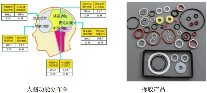 甘露子科技小院科普内容(1)_19.png
