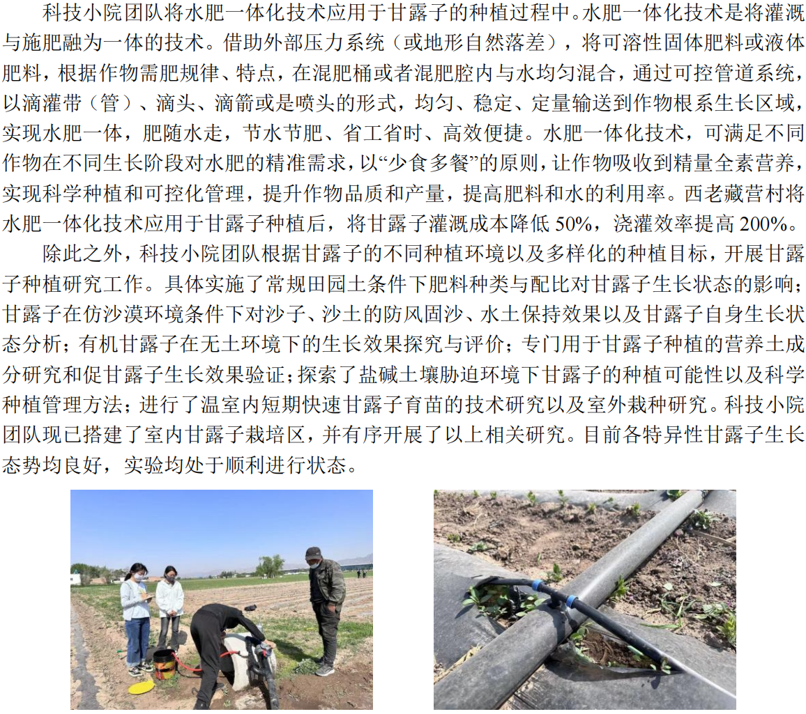 甘露子内容_60.png
