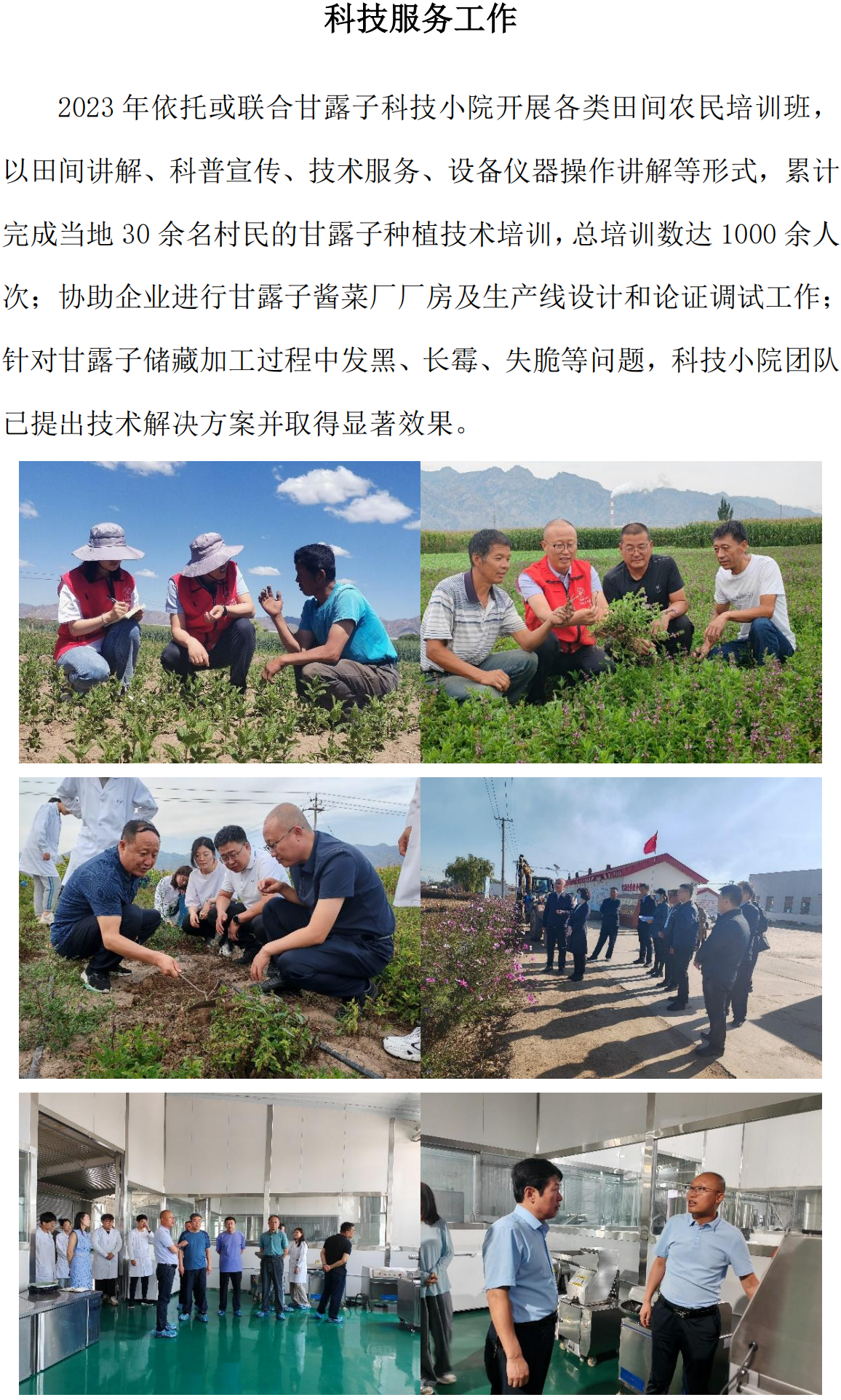 成果成效_03.png