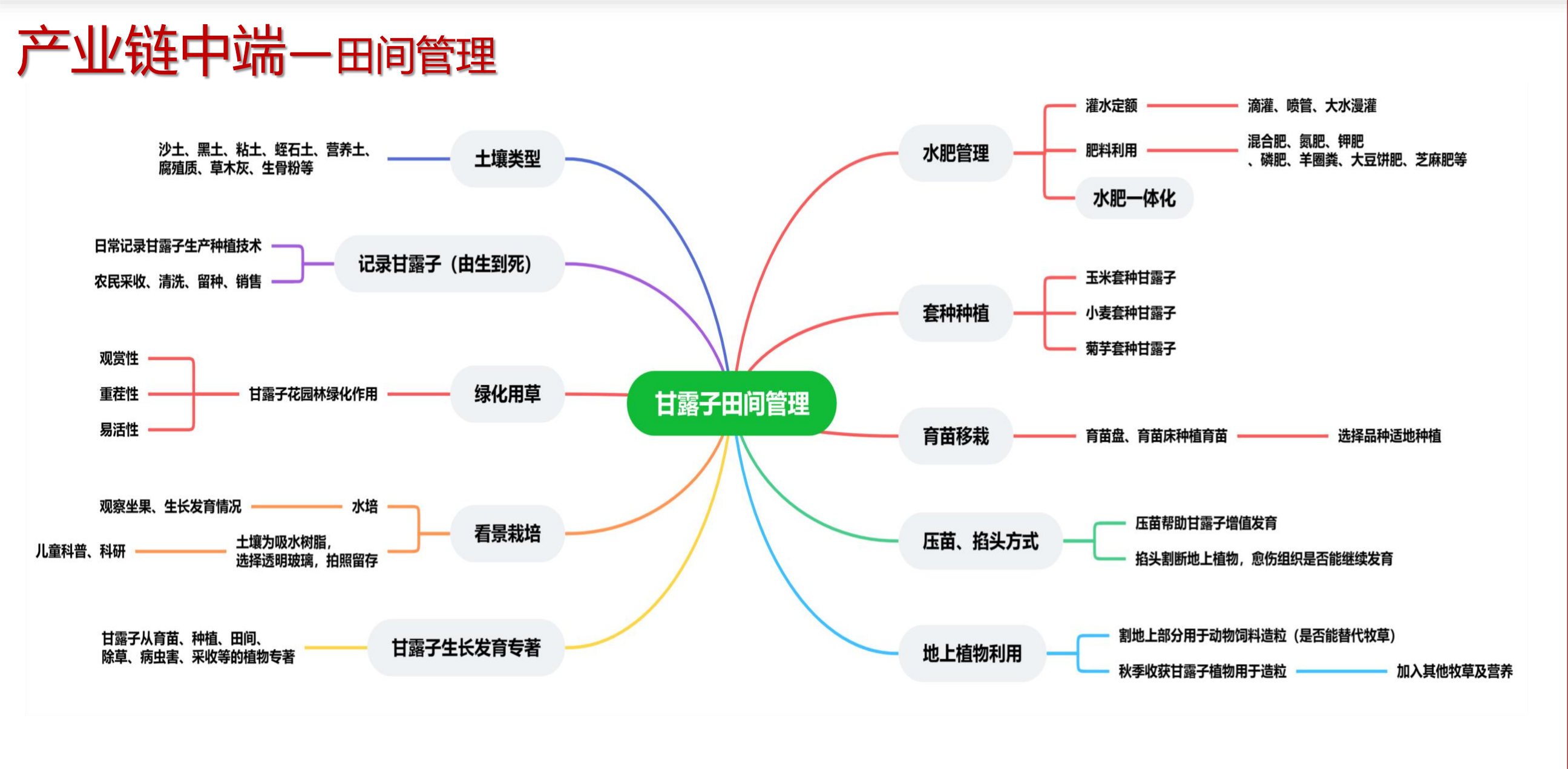 12.6甘露子科技小院PPT_09.png