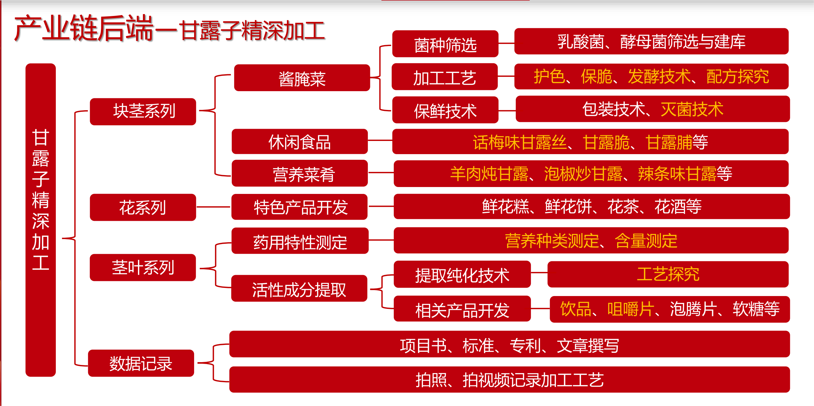 12.6甘露子科技小院PPT_12.png
